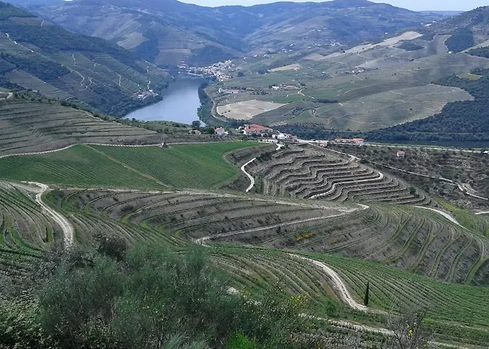 Hébergement de vacances Vistadouro 2 *